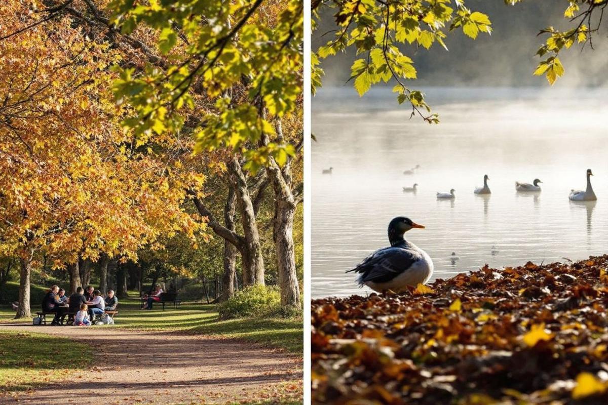 Ces 2 parcs secrets de Toulouse que 99% des familles ne connaissent pas (magiques en automne)