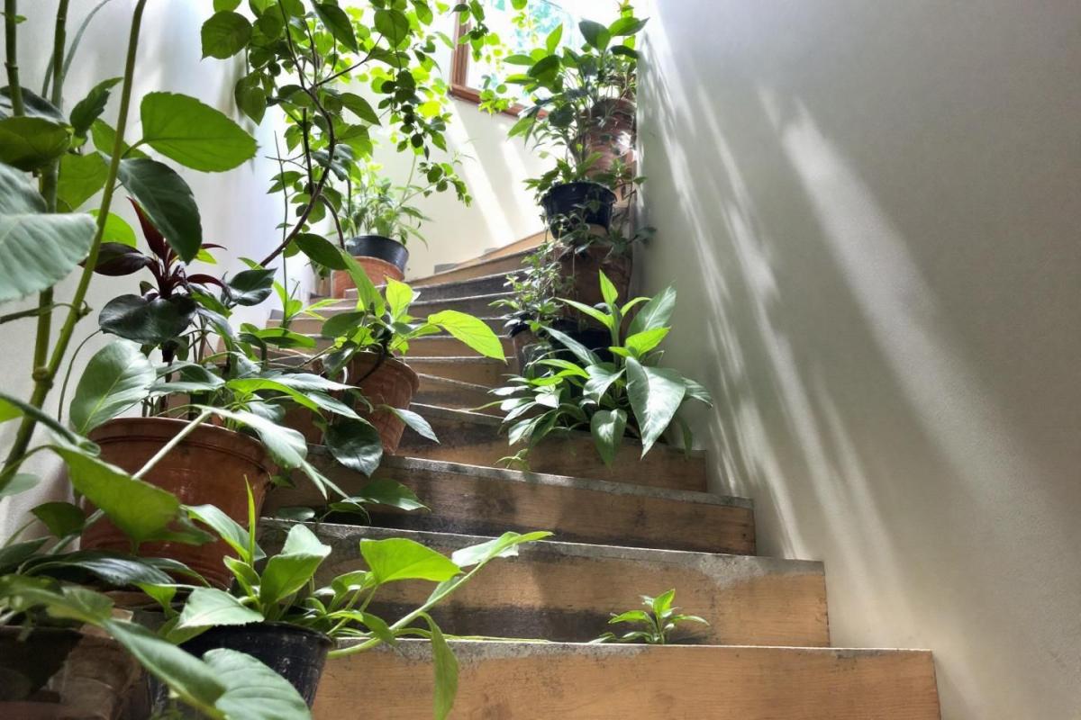 Découvrez l'escalier le plus long du monde à proximité de chez vous : une aventure accessible