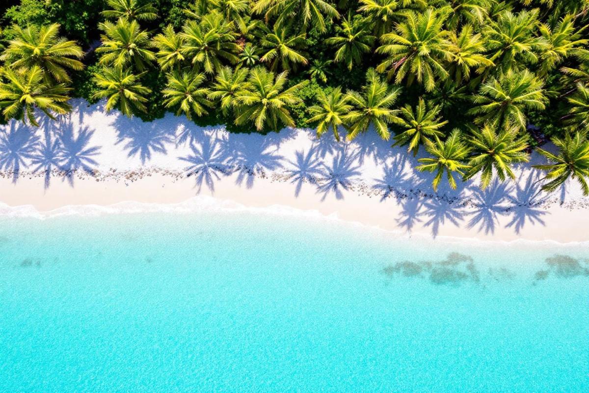 Destinations paradisiaques à petit prix : top 10 des plages désertes pour vos vacances d'été