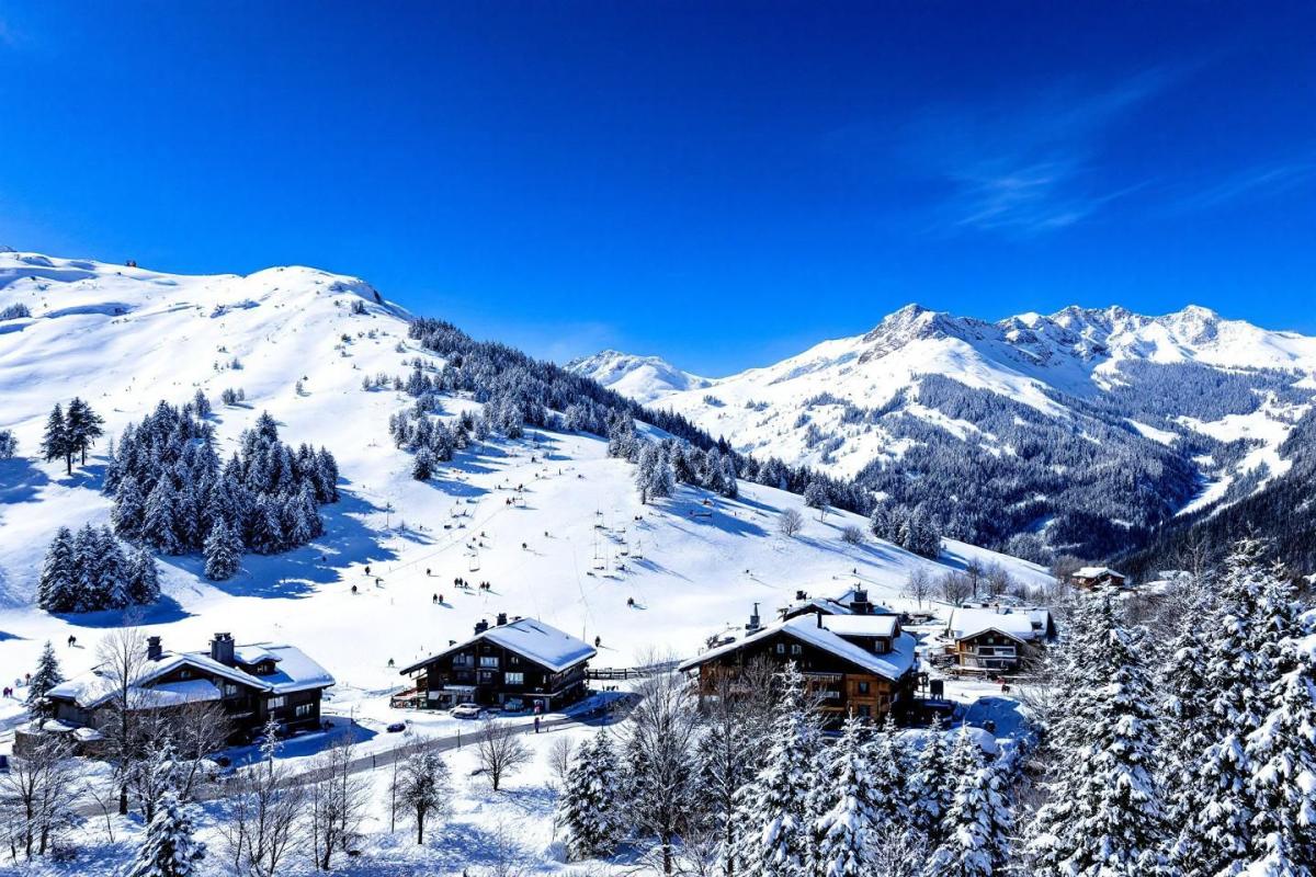Incroyable : cette station de ski évite la fermeture définitive de justesse