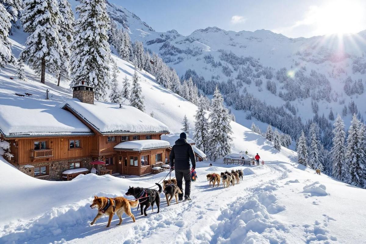 Cette station des Alpes reste secrète : tyrolienne géante et chiens de traîneau vous y attendent