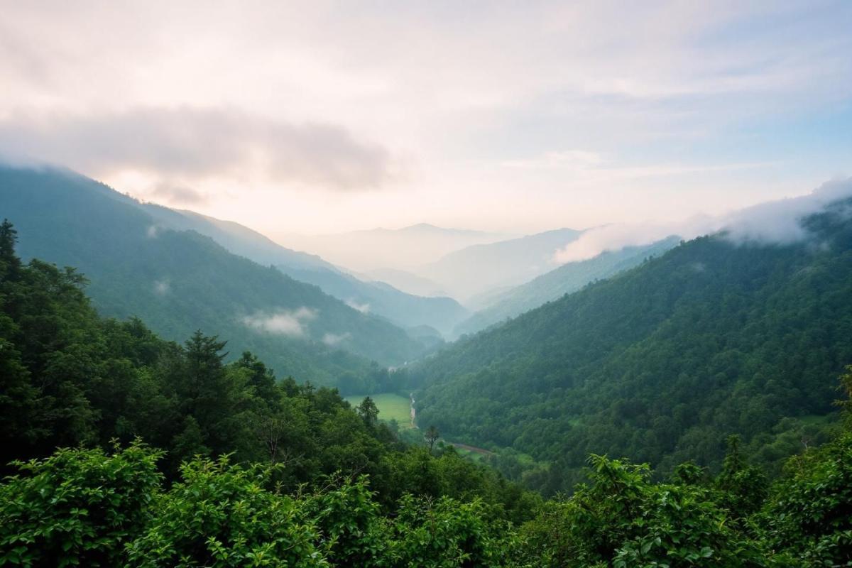Vous ne connaissez pas ces vallées cachées de Bourgogne (et c'est dommage)