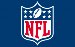 The official logo of the National Football League